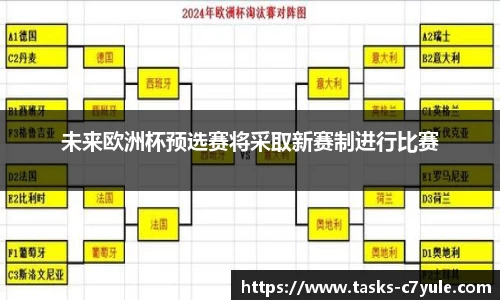 未来欧洲杯预选赛将采取新赛制进行比赛