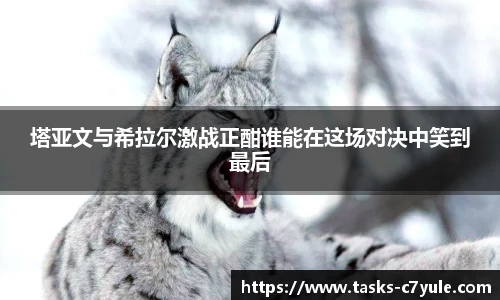C7娱乐